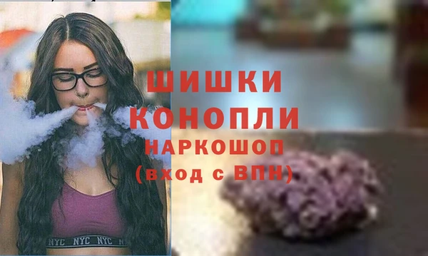 дживик Бородино