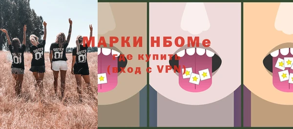 дживик Бородино