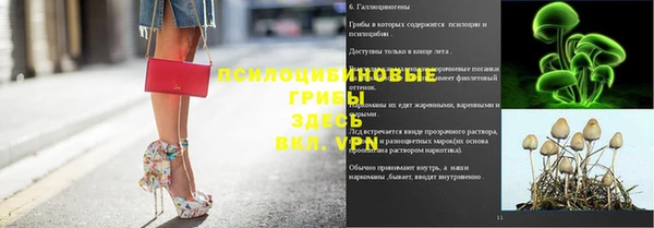 амф Бронницы