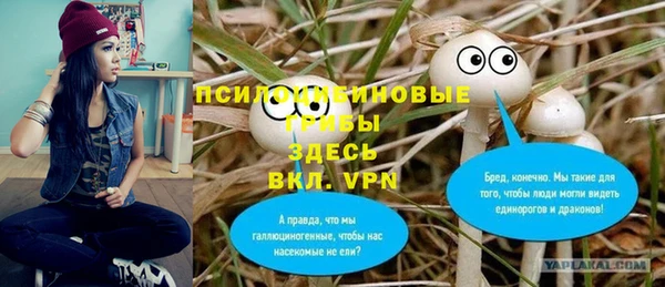 дурь Приозерск