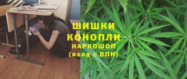МДПВ Богородск