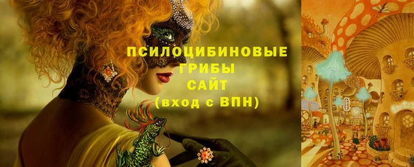 МДПВ Богородск