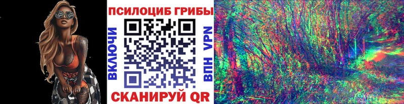 Псилоцибиновые грибы мухоморы  закладка  Дудинка 